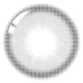 Lenstown Eleva Gray Monthly (2 Pack)